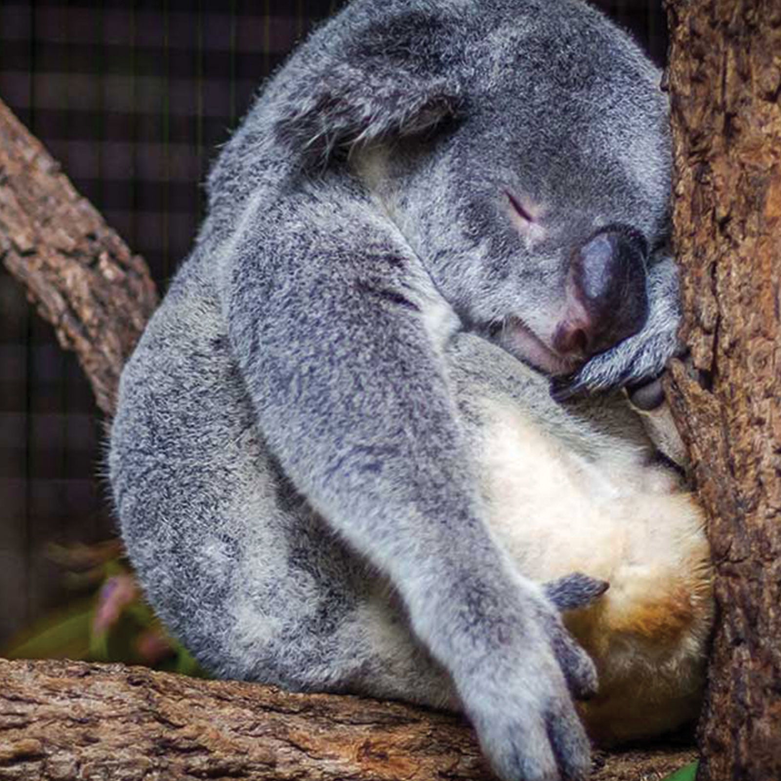 How to break the sleep deprivation habit - for good